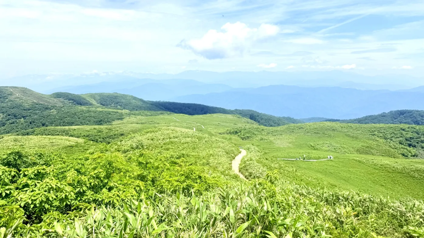 白木峰の山頂付近（2025年6月）