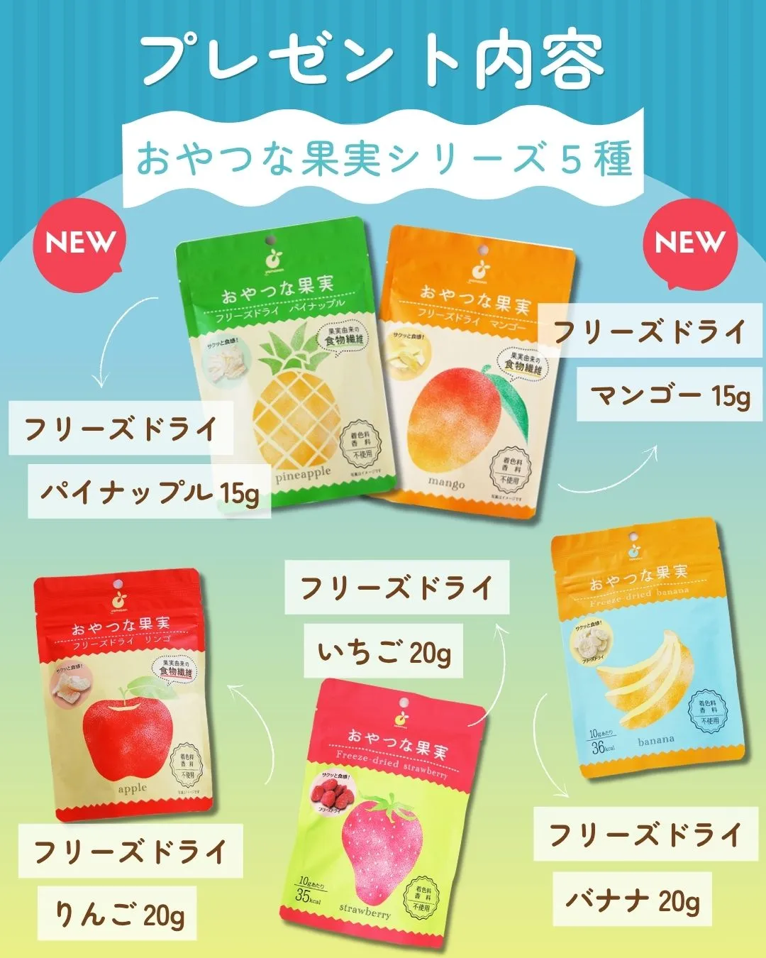夏のプレゼントキャンペーン