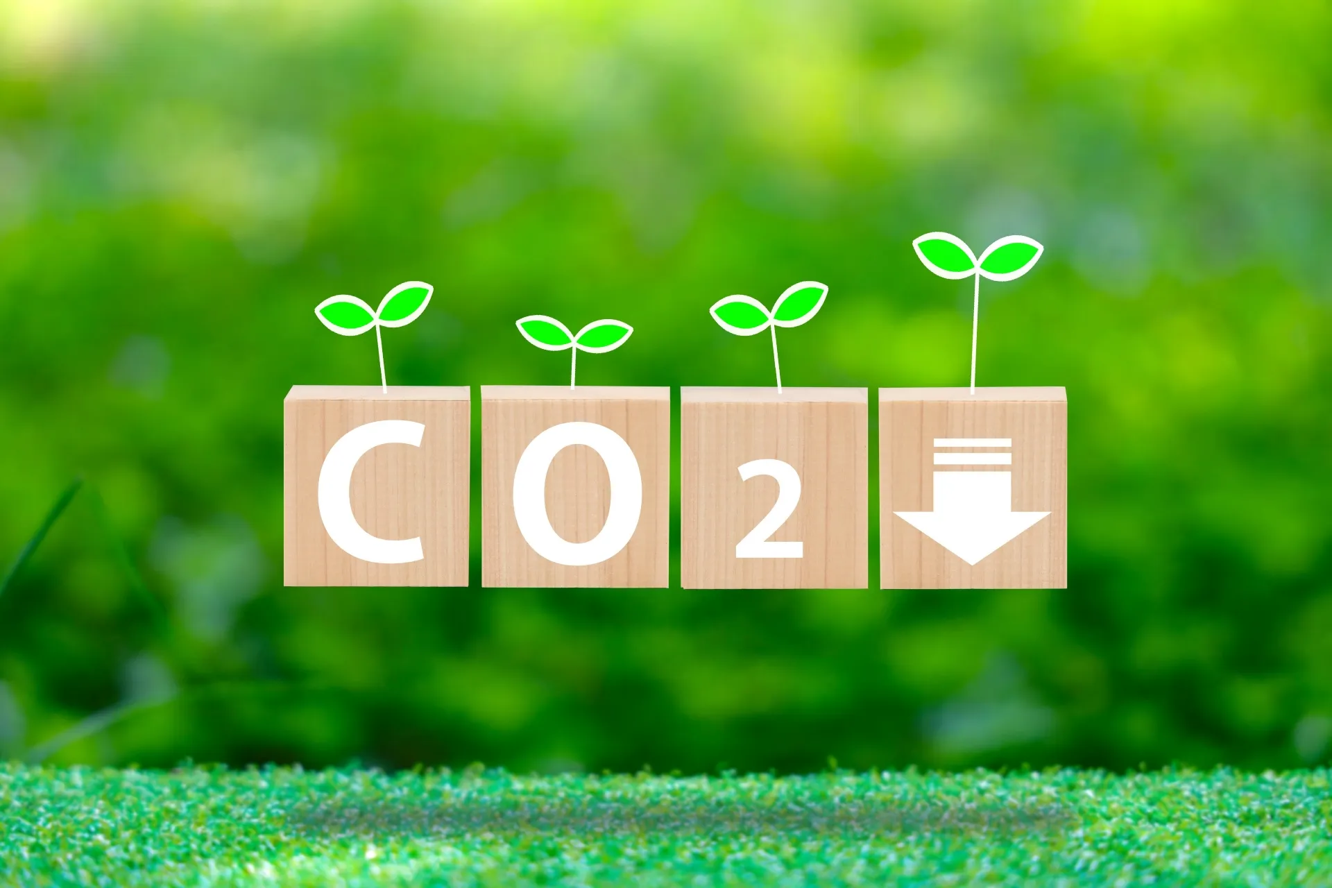 CO2ゼロ電力 ２年目も継続します！