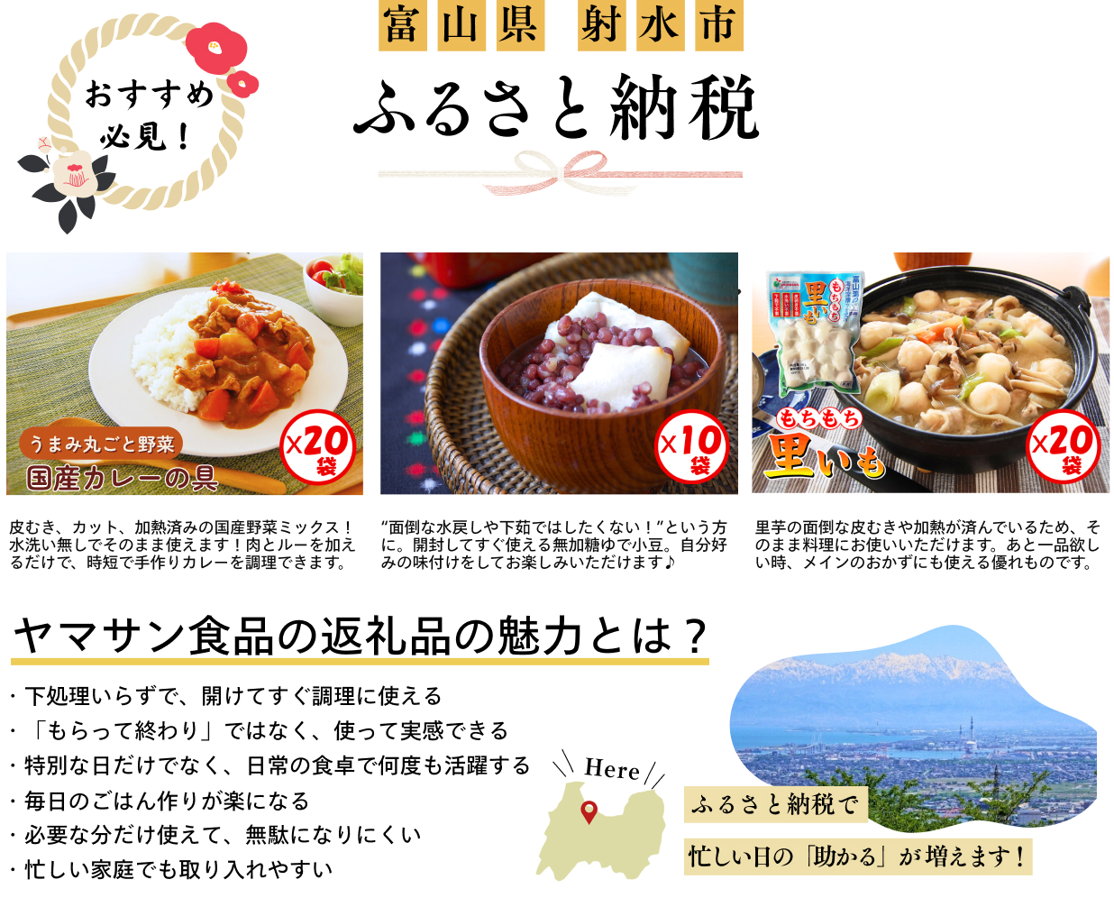 富山県射水市 ふるさと納税